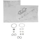 AST 55953A-U - KIT, VALVE REPAIR, 1/2” D.C.P., UHMW PACKINGS