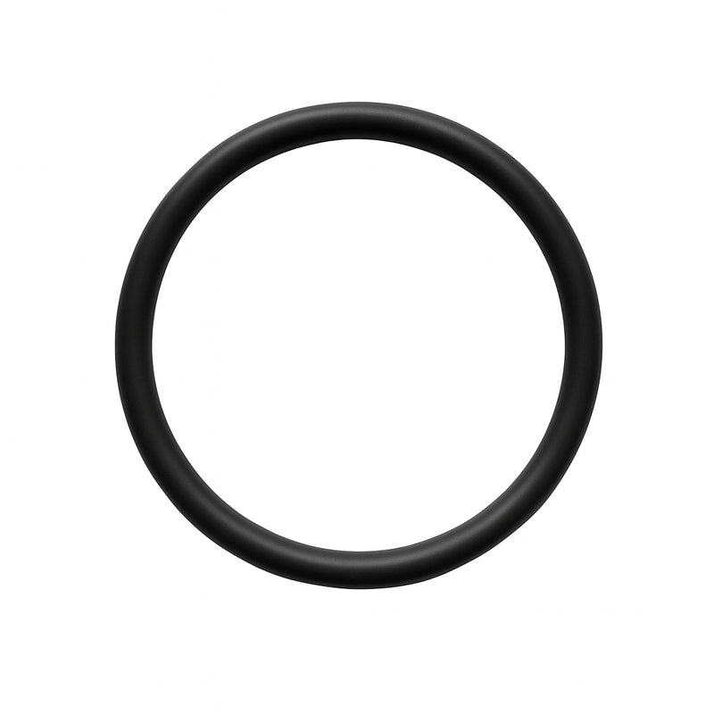 AST 1-328 O-Ring for CMP-24 Pumps