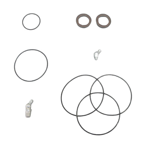 AST 55528-07A - GMP Pump Repair Kit (Qty of 6)